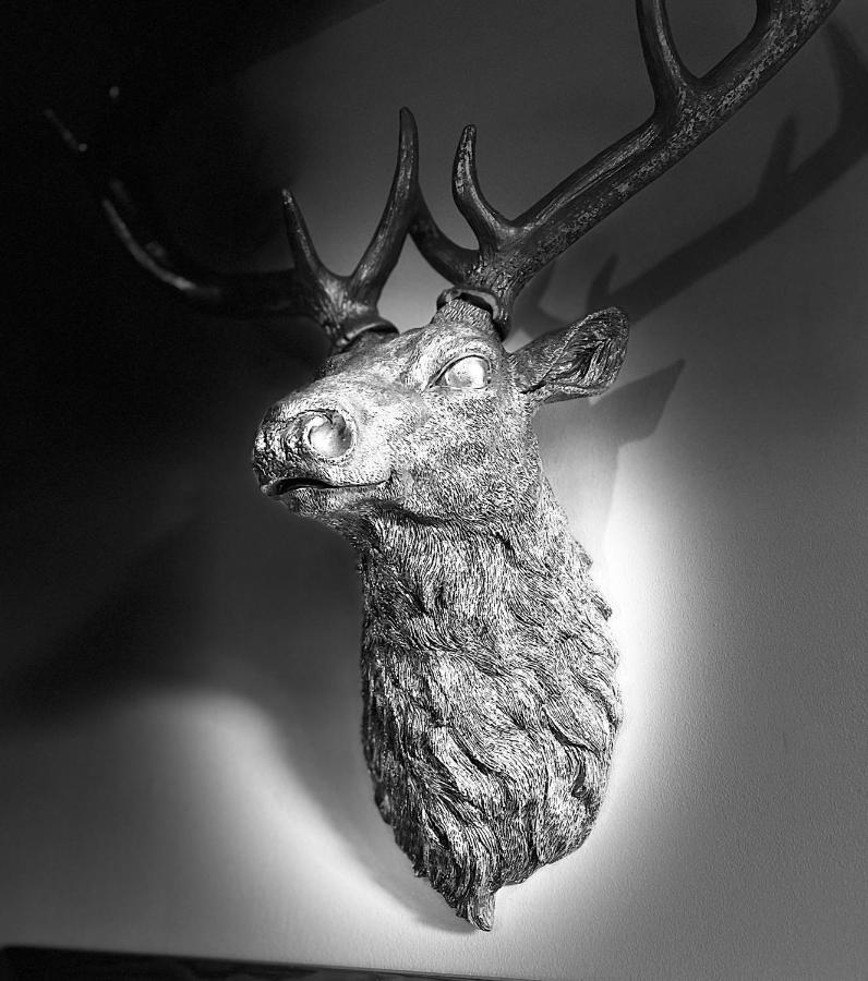 Grey Stag Apartment Nairn Esterno foto
